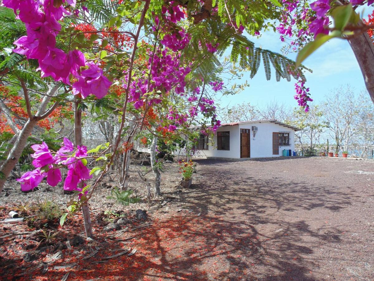 Casa Verde Vacation Garden Home San Cristóbal Exteriör bild
